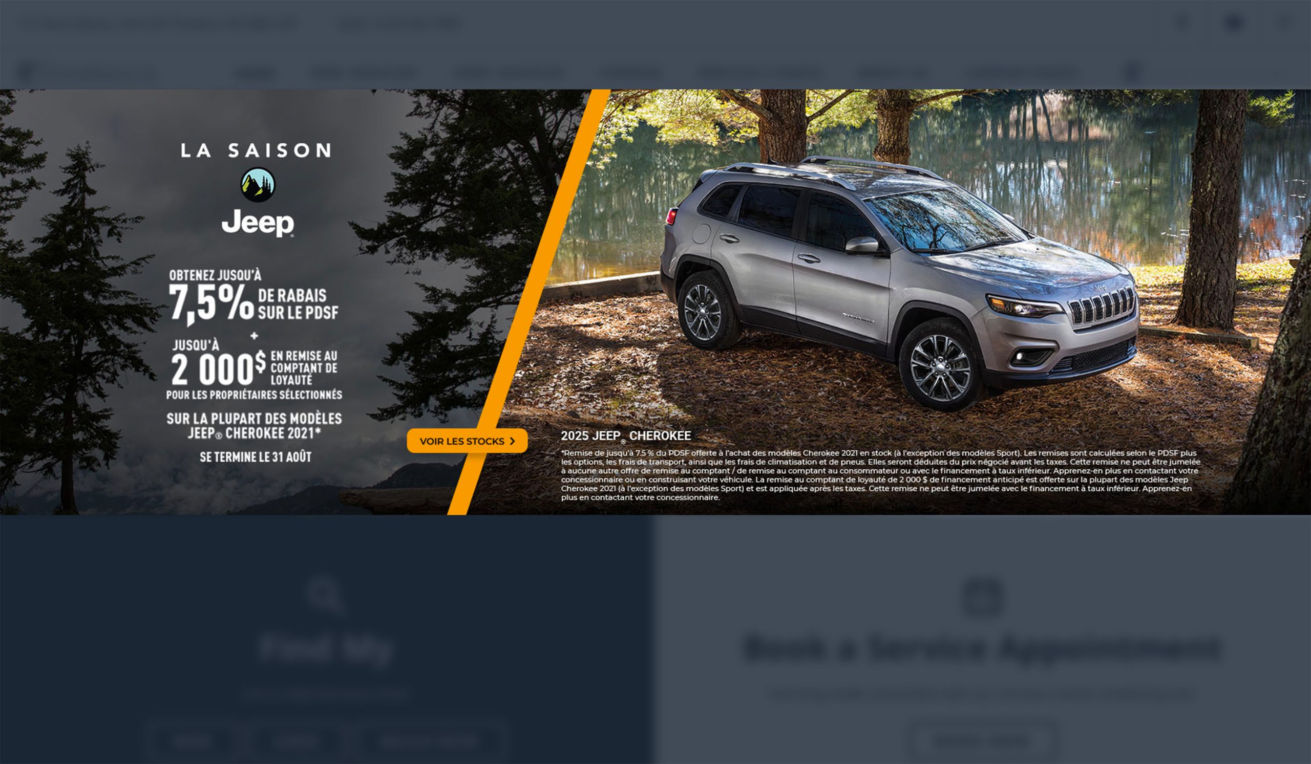 Exemple de promotion Stellantis