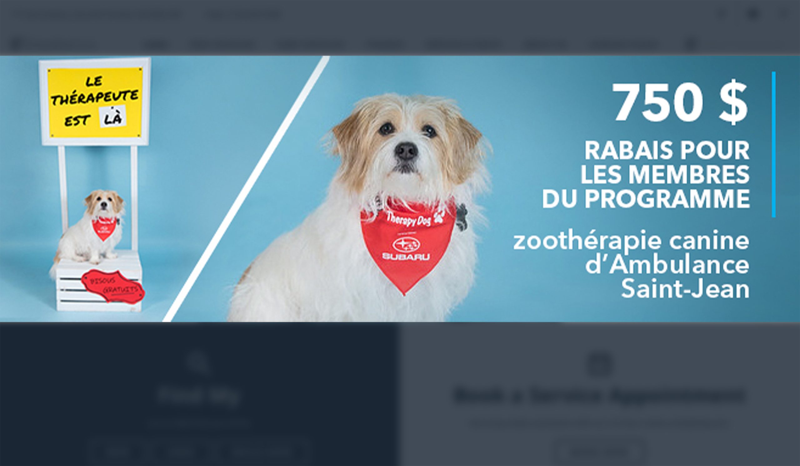 Exemple de promotion Subaru