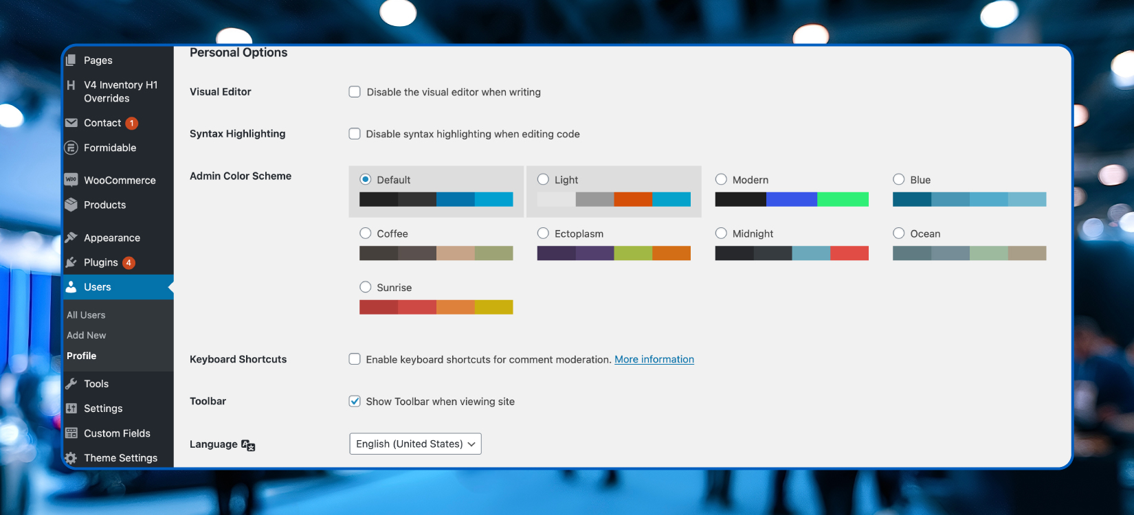A screenshot shows the language settings in V4.